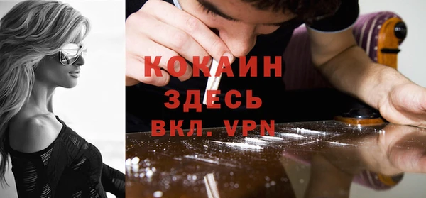 сатива Каменка