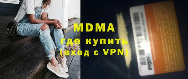 сатива Каменка