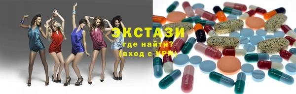 сатива Каменка