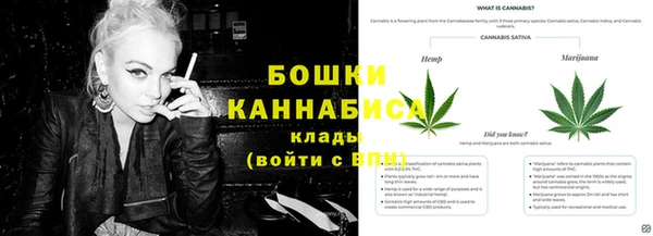 сатива Каменка