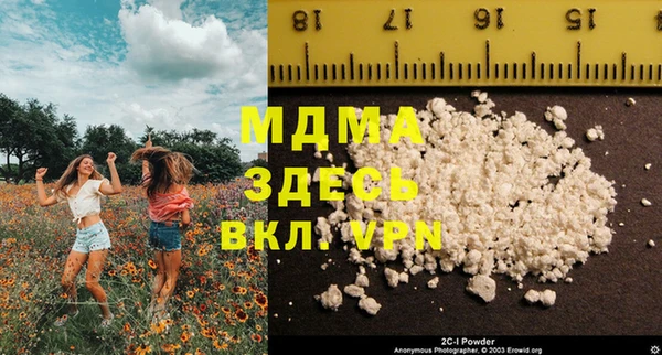 сатива Каменка