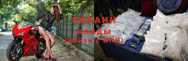 сатива Каменка