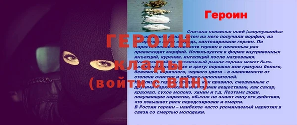 сатива Каменка