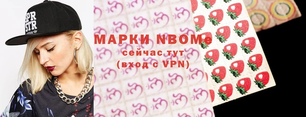 сатива Каменка