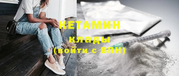 сатива Каменка