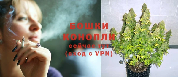 сатива Каменка