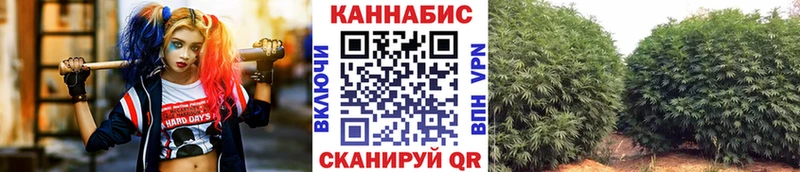 Марихуана индика  Купить  Аргун 